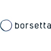 Borsetta Labs logo - Similar company to Blockchain Educators