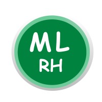 ML Gestão de Pessoas logo - Similar company to Mlrh Consultoria