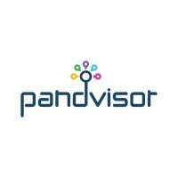 Pandvisor logo - Similar company to Abit Technologies