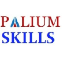 Palium Skills logo - Similar company to Palium Software