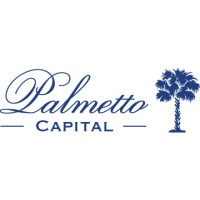 Palmetto Capital logo - Similar company to Tudu