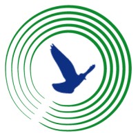 Mindfulness Company