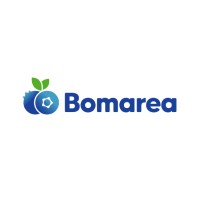 Bomarea Oficial logo - Similar company to Logístico Pro