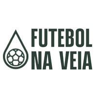Futebol na Veia logo - Similar company to Torcedores.Com