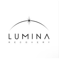 Lumina Recovery logo - Similar company to Usr Holdings