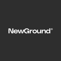 NewGround logo - Similar company to Develeko