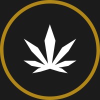 Local Cannabis Co. logo - Similar company to Menla Technologies