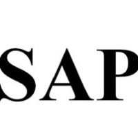 Saiful Anam & Partners logo - Similar company to Amg Law Firm