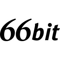 66 Bit