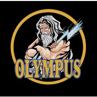 BDS Olympus logo - Similar company to Bds Titans