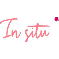 In Situ* Visual Merchandising logo - Similar company to Takeflyers