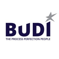 Budi B.V. logo - Similar company to A. Blijleven B.V.