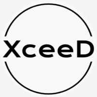 XceeDesigns logo - Similar company to Logidata