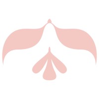 Mind the Bird Media logo - Similar company to Creaa Designs