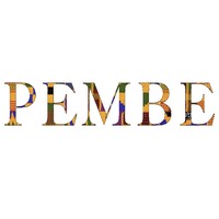 Pembe logo - Similar company to Practicepro