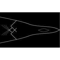 Shadow Aerospace, Llc