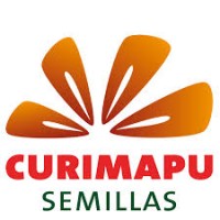 Curimapu Semillas logo - Similar company to Curimapuperu