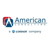 American Consulting Professionals, Llc