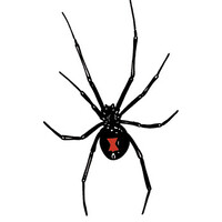 Black Widow PR logo - Similar company to Black Widow
