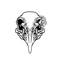 Demiplane Studios logo - Similar company to Ascension Leadership Academy