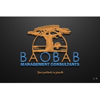 Baobab Management Consultants logo - Similar company to Baobab Consultancy, Llc