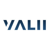 Valii logo - Similar company to Valii
