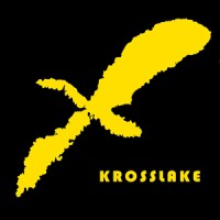 Krosslake logo - Similar company to Hourstores