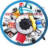 GENUINE AUTOMOBILE PARTS logo - Similar company to Chery Genuine Parts Export