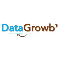 DataGrowb' logo - Similar company to Datagrow