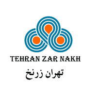 Tehran Zarnakh logo - Similar company to Sendbypass