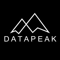 DataPeak logo - Similar company to Dynamixsys