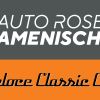 Auto Roseg Camenisch AG logo - Similar company to Auto Käppeli Ag