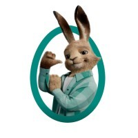 Vaillant Polska logo - Similar company to Viessmann Climate Solutions Pl