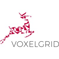 Voxelgrid GmbH logo - Similar company to Taskrunner Gmbh