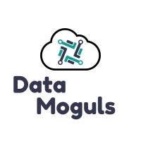 Data Moguls logo - Similar company to Data Sculpture