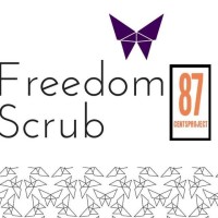 FREEDOM SCRUB logo - Similar company to Deluxe Cleaning