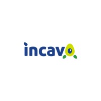 INCAVO logo - Similar company to Verander