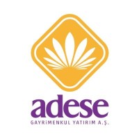 ADESE logo - Similar company to Belya Bilişim
