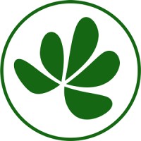 Little Forest logo - Similar company to Cms Critic