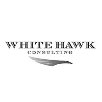 White Hawk Consulting, LLC logo - Similar company to TWINSTAR CONSULTING LTD