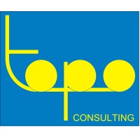 TOPO Consulting logo - Similar company to Otodo