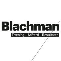 Blachman ApS logo - Similar company to 3Dsecure.Io