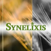 Synelixis Solutions SA logo - Similar company to Exapsys Exascale Performance Systems