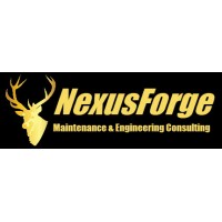 NexusForge Ventures logo - Similar company to Gundi Rmem Engineering