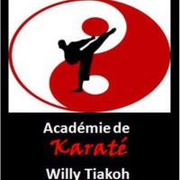 ACADÉMIE DE KARATÉ WILLY TIAKOH logo - Similar company to Eeyou Karate Association