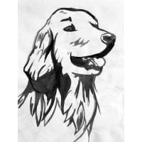 Luxe Jets logo - Similar company to Naranjos.Ai