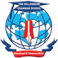 Millennium Schooling System logo - Similar company to The Programmer Secondary School