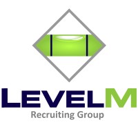 Level M Recruiting Group logo - Similar company to Simply Technical Recruitment