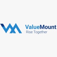 Valuemount logo - Similar company to Valuemont