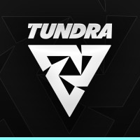Tundra Esports logo - Similar company to Climatise